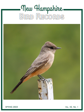 New Hampshire Bird Records  Current Issue - Spring 2023