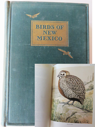 Birds-new-mexico - New Hampshire Bird Records