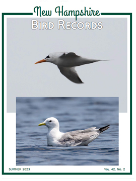 New Hampshire Bird Records  Current Issue - Summer 2023