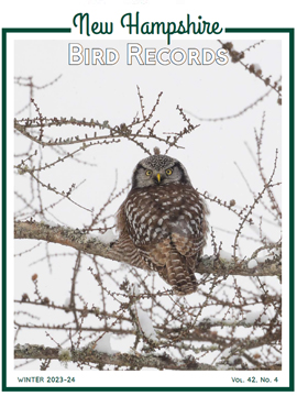 New Hampshire Bird Records  Current Issue - Winter 2023/2024